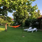 Pensionat Galeria In The Garden 4*