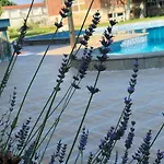 Pensionat Galeria In The Garden