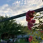 Galeria In The Garden