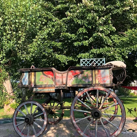 Galeria In The Garden 4* Plovdiv