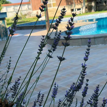 Guest house Galeria In The Garden