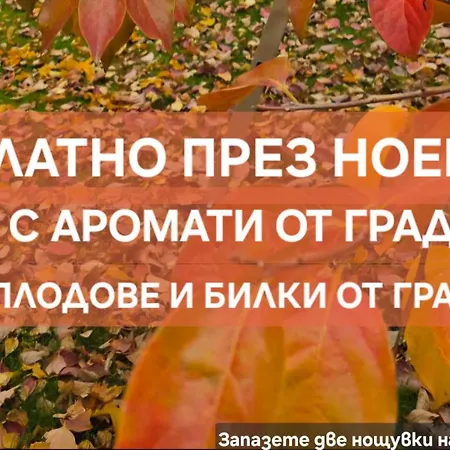 Galeria In The Garden 招待所 普罗夫迪夫