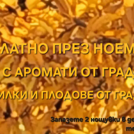 招待所 Galeria In The Garden 普罗夫迪夫