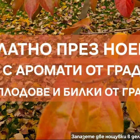 Galeria In The Garden 普罗夫迪夫