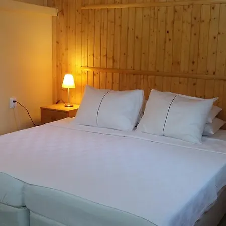 招待所 Galeria In The Garden 4*