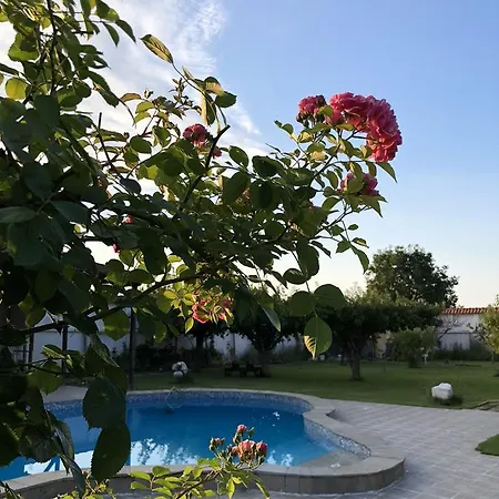 Galeria In The Garden 招待所 4*